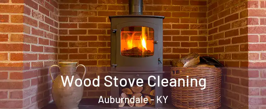 Wood Stove Cleaning Auburndale - KY