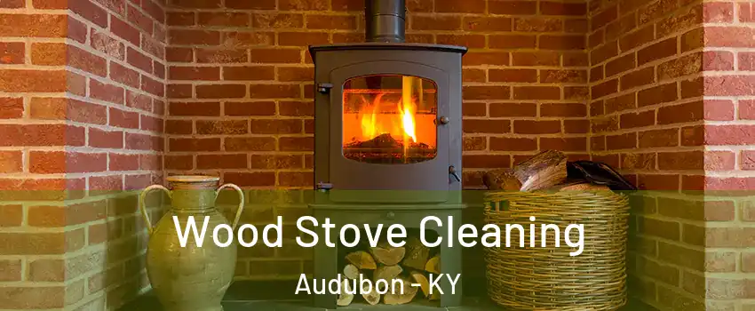 Wood Stove Cleaning Audubon - KY