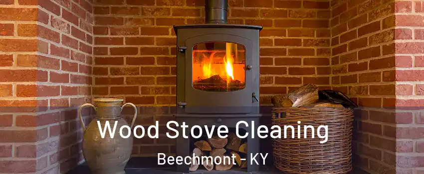 Wood Stove Cleaning Beechmont - KY