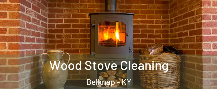 Wood Stove Cleaning Belknap - KY