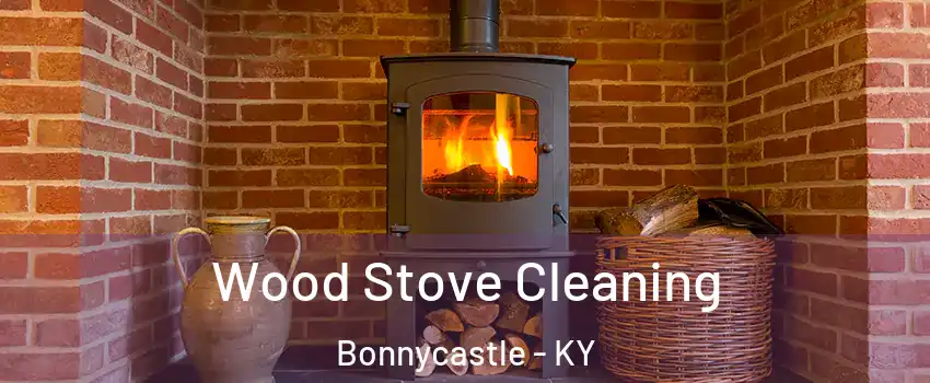 Wood Stove Cleaning Bonnycastle - KY