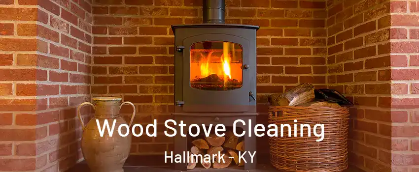 Wood Stove Cleaning Hallmark - KY