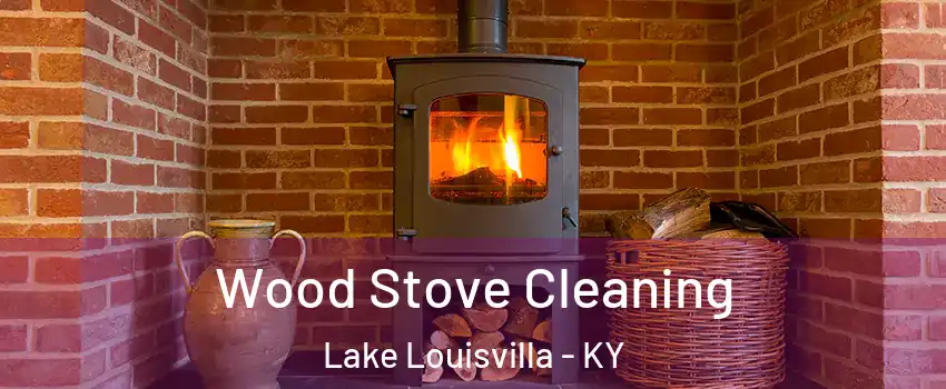 Wood Stove Cleaning Lake Louisvilla - KY