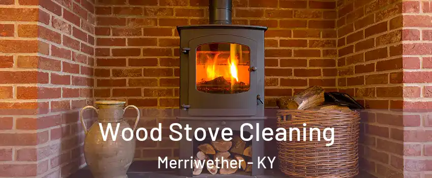 Wood Stove Cleaning Merriwether - KY