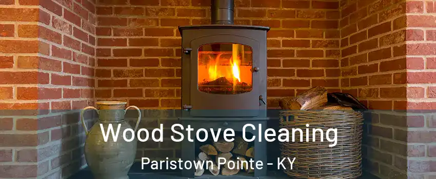 Wood Stove Cleaning Paristown Pointe - KY