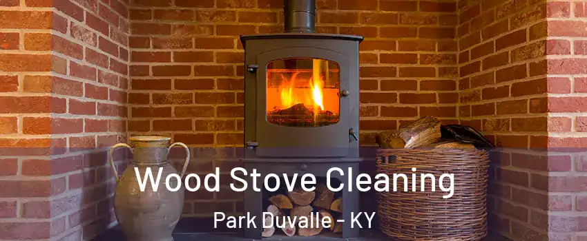 Wood Stove Cleaning Park Duvalle - KY