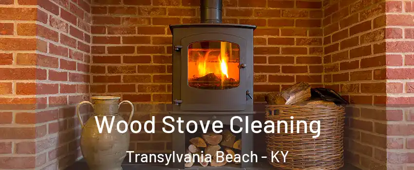 Wood Stove Cleaning Transylvania Beach - KY