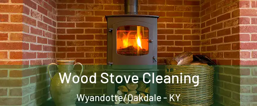 Wood Stove Cleaning Wyandotte/Oakdale - KY