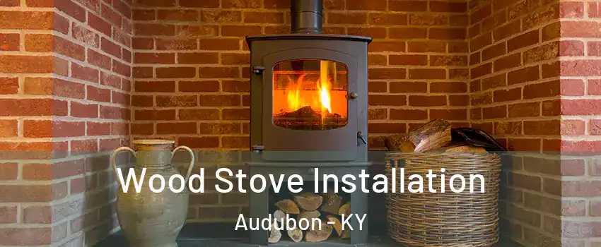 Wood Stove Installation Audubon - KY