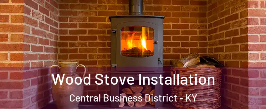 Wood Stove Installation Central Business District - KY