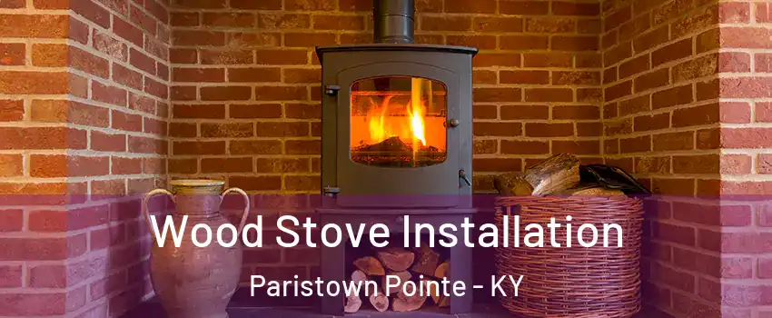 Wood Stove Installation Paristown Pointe - KY