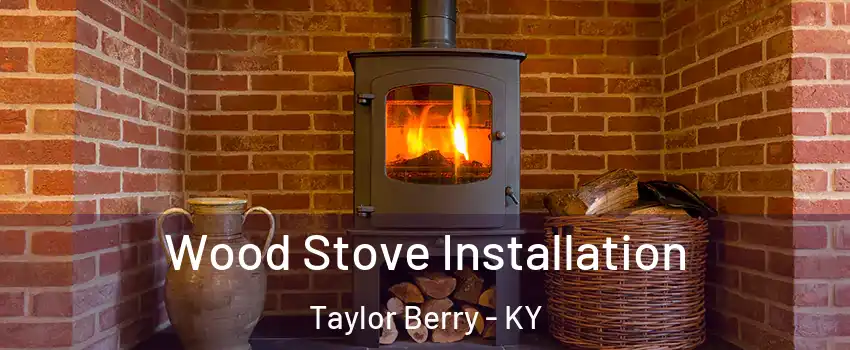 Wood Stove Installation Taylor Berry - KY