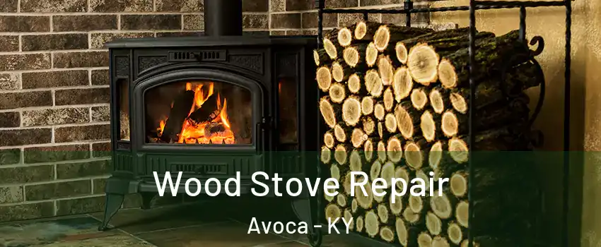 Wood Stove Repair Avoca - KY