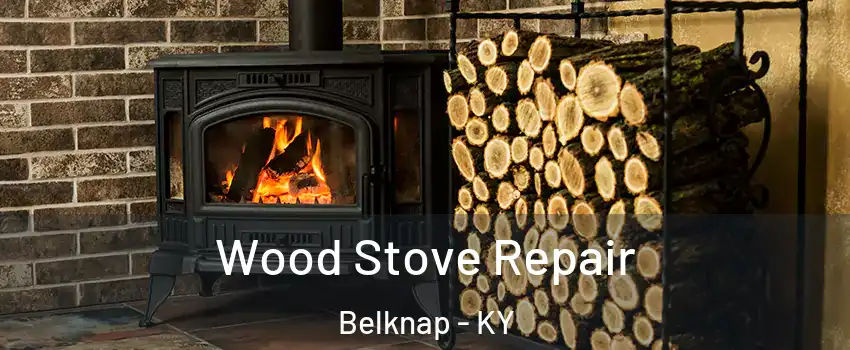 Wood Stove Repair Belknap - KY