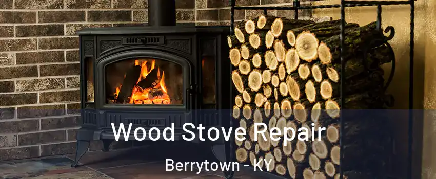 Wood Stove Repair Berrytown - KY