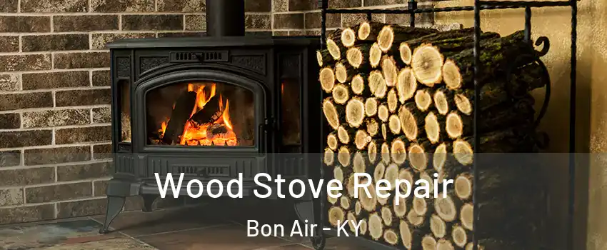 Wood Stove Repair Bon Air - KY