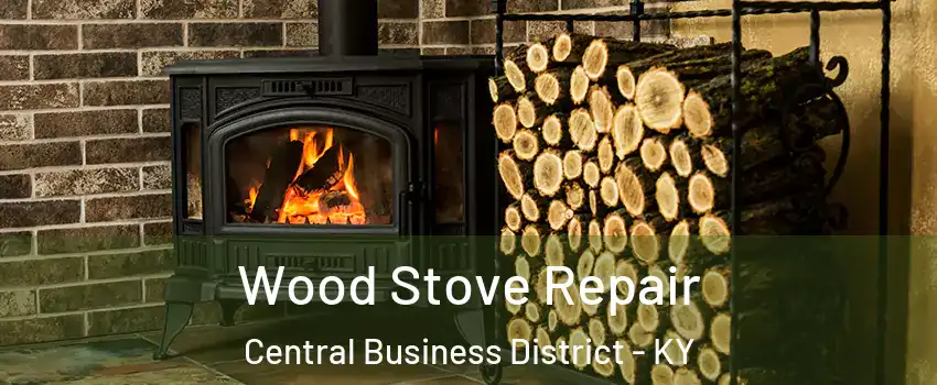 Wood Stove Repair Central Business District - KY