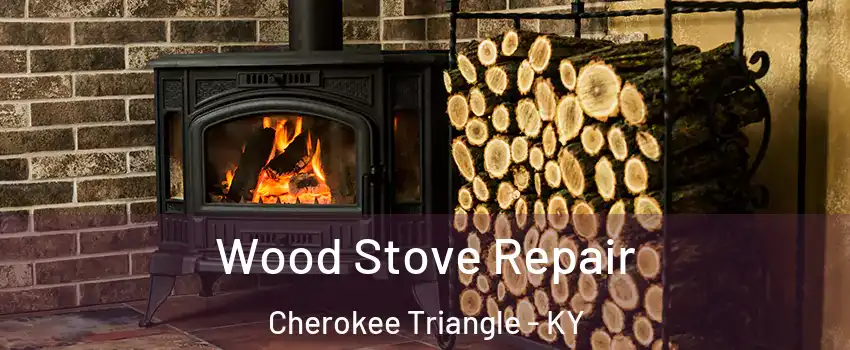 Wood Stove Repair Cherokee Triangle - KY