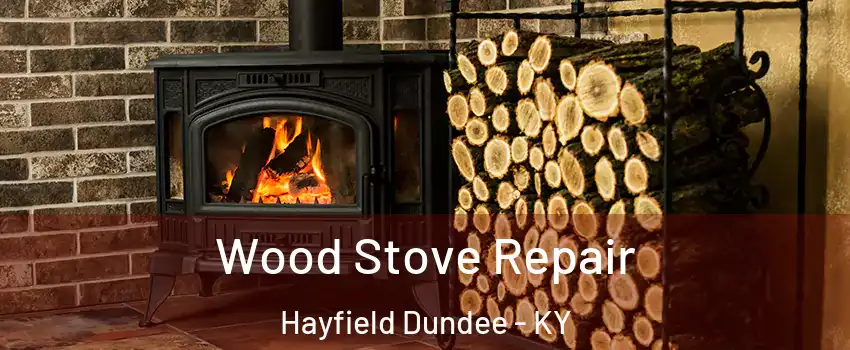 Wood Stove Repair Hayfield Dundee - KY