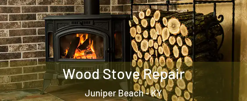 Wood Stove Repair Juniper Beach - KY